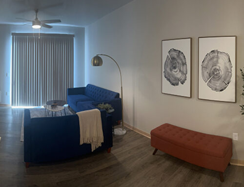 One Bedroom 8